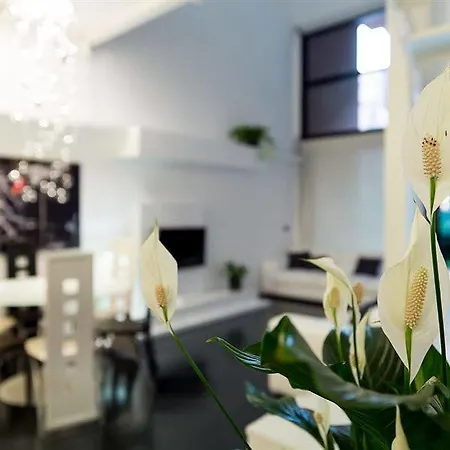 Luxury Loft - Station Appartamento Milano
